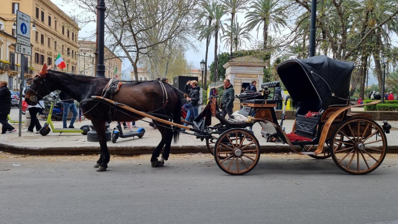 La Bedda Sicilia Daire Palermo Dış mekan fotoğraf